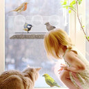 Alimentador de pájaros de ventana - Clear Wild Bird Watching