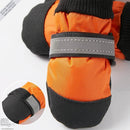 Botas para mascotas - ¡Protege a tu mejor amigo, sin importar la temporada!