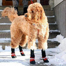 Botas para mascotas - ¡Protege a tu mejor amigo, sin importar la temporada!