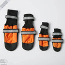 Botas para mascotas - ¡Protege a tu mejor amigo, sin importar la temporada!