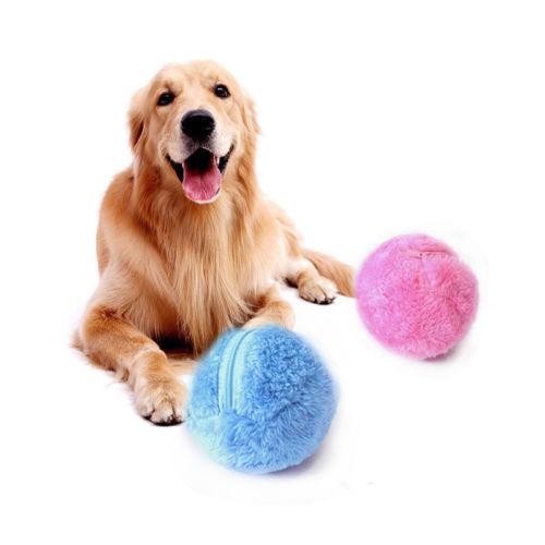 Bola mágica divertida para mascotas