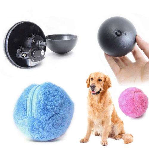 Bola mágica divertida para mascotas