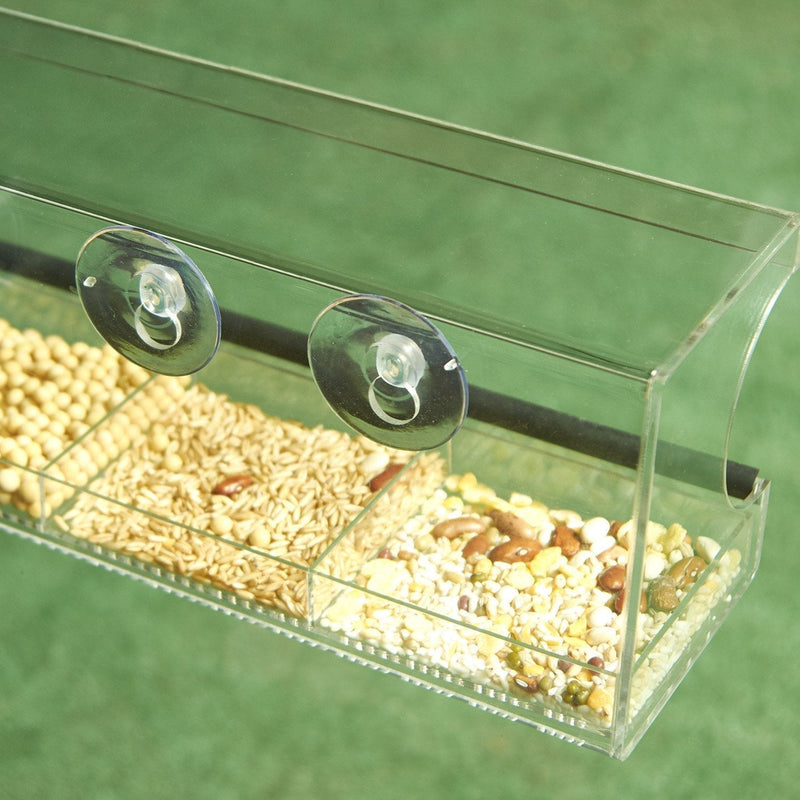 Alimentador de pájaros de ventana - Clear Wild Bird Watching