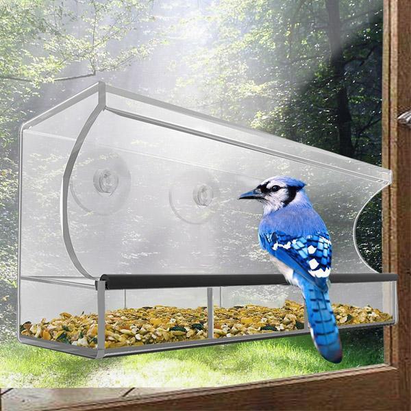 Alimentador de pájaros de ventana - Clear Wild Bird Watching