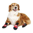 Botas para mascotas - ¡Protege a tu mejor amigo, sin importar la temporada!